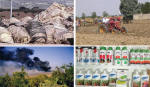 rifiuti agricoli